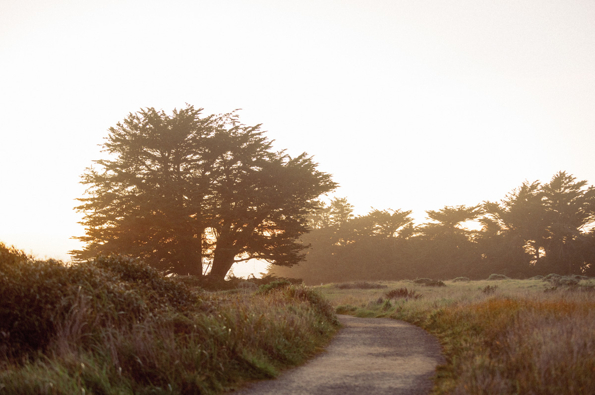 Sunset-Picture-of-Sea-Ranch-California